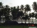 Miramar beach along Miramar Dona paula bypass-photo by Dr_Dwen Dias- Goa-India_jpg * 512 x 384 * (23KB)